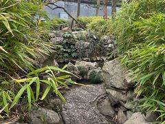 -绮园景区