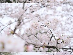 -上海辰山植物园