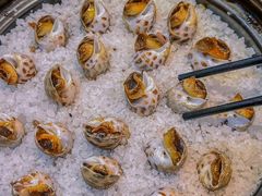 -巽寮印象美食部落餐厅·海鲜·地方特色菜(惠州体验店)