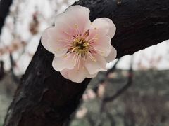 -北京明城墙遗址公园