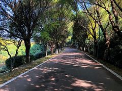 -沙澧河风景区