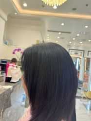 -YESIDO椰岛造型