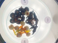 -中国湿地博物馆