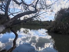-捞渔河湿地公园