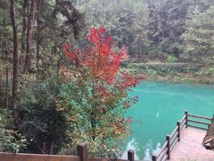 -重庆九凤瑶池海明山庄