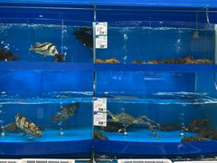 -果蔬好生活超市(乐堤港店)