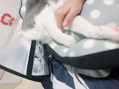 -守诺宠物医院·眼科· 特色牙科·异宠专科(虹口店)