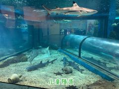 景点-福州罗源湾海洋世界旅游区