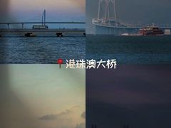-野狸岛