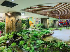 店内环境-凯德广场(学府店)