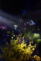 -美薇亭婚礼顾问