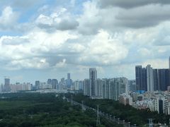 -福田红树林生态公园