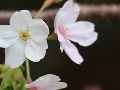 -西北湖绿化广场