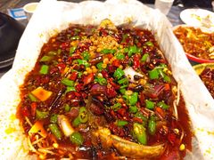 -红辣椒·川菜·火锅(张杨路店)