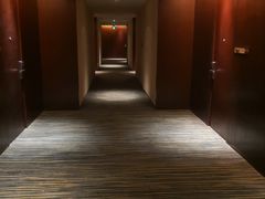 -电谷雅阁国际大酒店