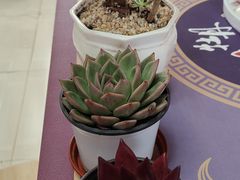 -恒达综合农贸市场(黄山路店)