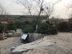 -仁爱团泊湖温泉中心