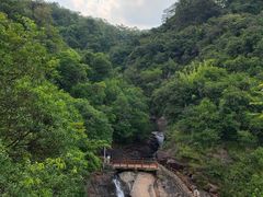 -广州白江湖森林公园