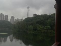 -重庆彩云湖湿地公园