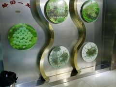 -上海昆虫博物馆