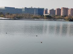 -天鹅湖体育公园