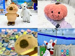 -广州热雪奇迹