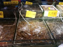 -珠光市场(文德南路)