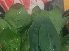 -湊湊火锅·茶憩(皇姑万象汇店)