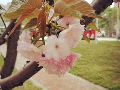 -长沙市青少年宫