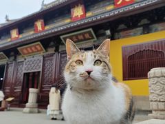 -西园戒幢律寺