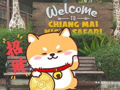 -清迈夜间动物园