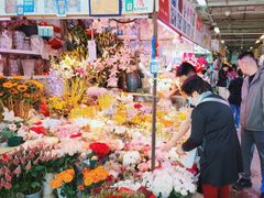 -花鸟鱼虫鲜花绿植市场(玉泉路店)