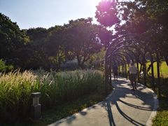 -四海公园(南山区)