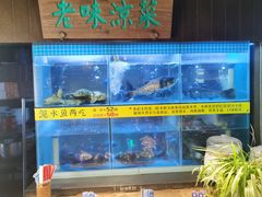-帅巴人舅母子腊蹄民俗村