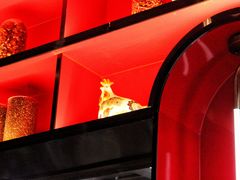 -锅儿匠辣子鸡(春熙路店)