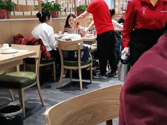 -杨翔豆皮涮牛肚(华阳城店)