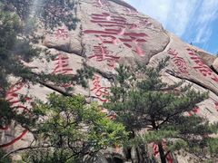 -崂山仰口游览区