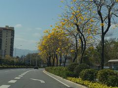 -灵玲国际马戏城