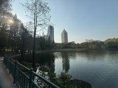 -深圳龙潭公园