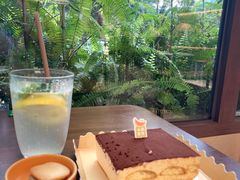 -小西家作(富力爱丁堡店)