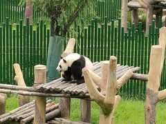 -沈阳森林动物园