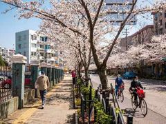 -永乐路-路侧停车场