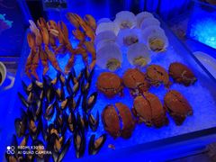 -上海浦东星河湾酒店
