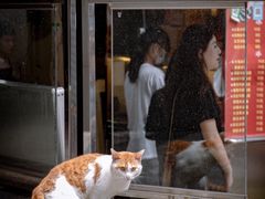 -夏食光安顺小舒冰粉冰浆(甲秀楼店)