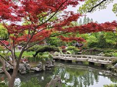 -杭州西湖柳莺里酒店