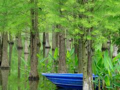 -白鹭湾湿地公园