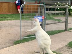 -威勒比开放式动物园