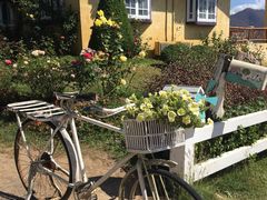 -黄色小屋