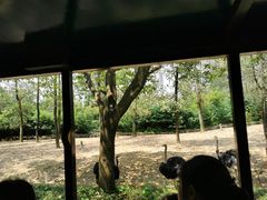 -杭州野生动物世界