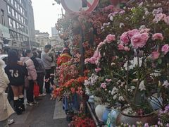 -溪岸路花鸟市场